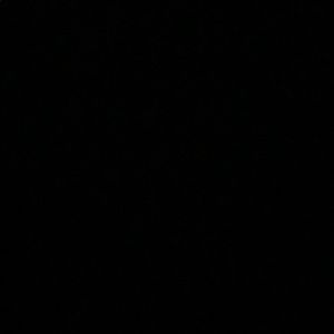 Meet your Posher, Landis